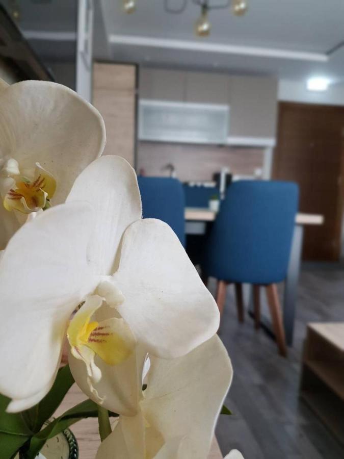 Apartman Premier 32 Milmari كوباونيك المظهر الخارجي الصورة